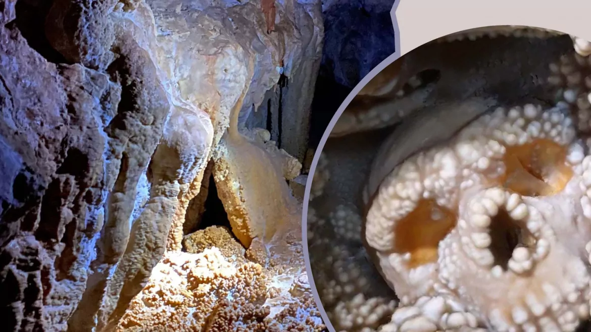 Convegno Internazionale “ABISSI DEL TEMPO” – La Grotta di Lamalunga / L’Uomo di Neanderthal